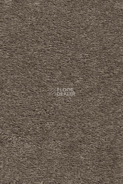 Ковролин AW Invictus Heroicus 39 фото 1 | FLOORDEALER